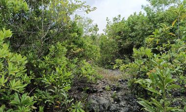 Overlooking 8,281sqm clean title lot n Tabalong Dauis Panglao Bohol 1200 per sqm