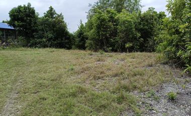 Overlooking 8,281sqm clean title lot n Tabalong Dauis Panglao Bohol 1200 per sqm