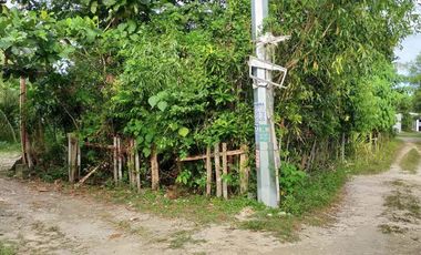 688sqm clean title house and lot for sale in Catarman Dauis Panglao Bohol