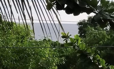 688sqm clean title house and lot for sale in Catarman Dauis Panglao Bohol