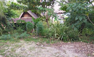 688sqm clean title house and lot for sale in Catarman Dauis Panglao Bohol