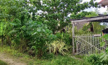 688sqm clean title house and lot for sale in Catarman Dauis Panglao Bohol