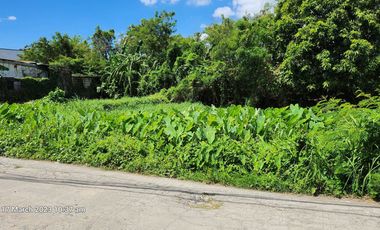Foreclosed Property - 259 sqm in DSM Subd., San Rafael II, Noveleta, Cavite