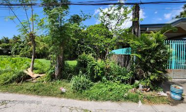 Foreclosed Property - 259 sqm in DSM Subd., San Rafael II, Noveleta, Cavite