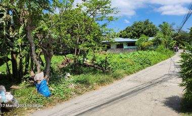 Foreclosed Property - 259 sqm in DSM Subd., San Rafael II, Noveleta, Cavite