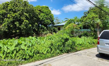 Foreclosed Property - 259 sqm in DSM Subd., San Rafael II, Noveleta, Cavite