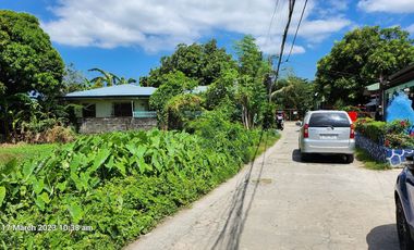 Foreclosed Property - 259 sqm in DSM Subd., San Rafael II, Noveleta, Cavite