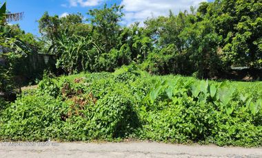 Foreclosed Property - 259 sqm in DSM Subd., San Rafael II, Noveleta, Cavite