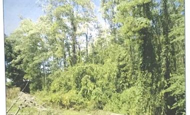Serene Residential Lot at Barangay Sicsican, Puerto Princesa City,