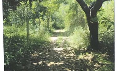 Serene Residential Lot at Barangay Sicsican, Puerto Princesa City,