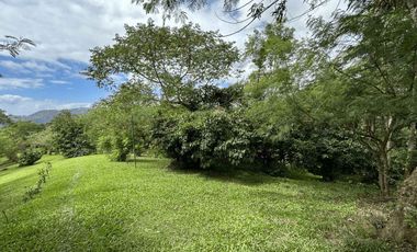 Tagaytay Overlooking 3-hectares Vacant Lot for Sale