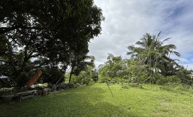 Tagaytay Overlooking 3-hectares Vacant Lot for Sale