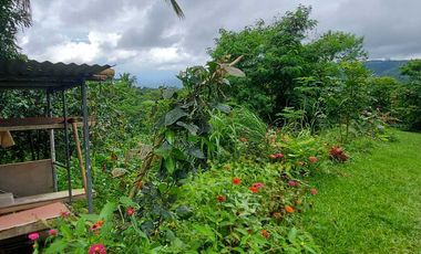 Tagaytay Overlooking 3-hectares Vacant Lot for Sale