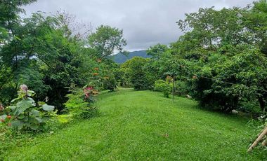 Tagaytay Overlooking 3-hectares Vacant Lot for Sale