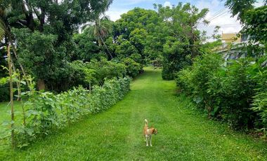 Tagaytay Overlooking 3-hectares Vacant Lot for Sale