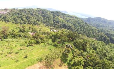 Tagaytay Overlooking 3-hectares Vacant Lot for Sale