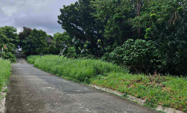 LOT FOR SALE: Spring Country Subdivision FILINVEST, Quezon City