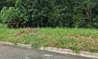 LOT FOR SALE: Spring Country Subdivision FILINVEST, Quezon City