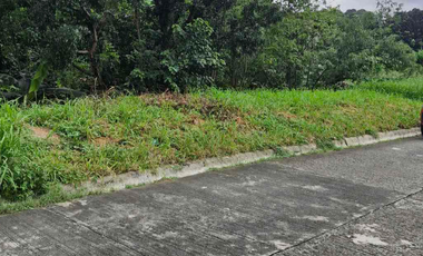 LOT FOR SALE: Spring Country Subdivision FILINVEST, Quezon City