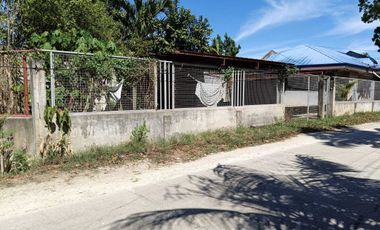 3 bedrooms 2 toilet and bath house for sale in Biking Dauis Panglao island Bohol
