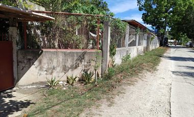 3 bedrooms 2 toilet and bath house for sale in Biking Dauis Panglao island Bohol