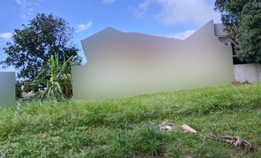 324 sqm Residential Lot for Sale – San Rafael Estates, Sto. Tomas, Batangas