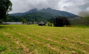 324 sqm Residential Lot for Sale – San Rafael Estates, Sto. Tomas, Batangas