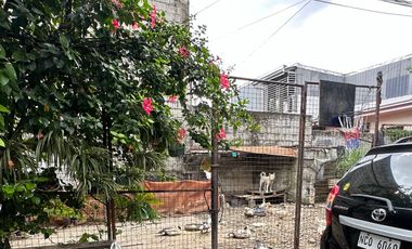 lot For sale 4114 A Feliciano St Ugong Valenzuela