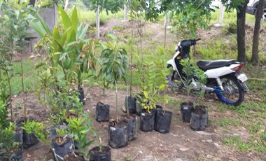 Lot for sale in Bamban, Tarlac
