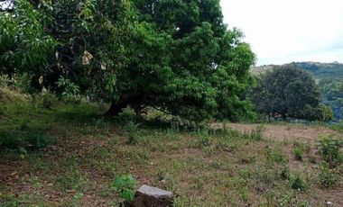 Lot for sale in Mabiga, Bataan