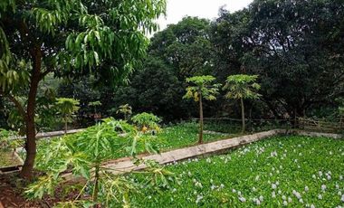 Lot for sale in Mabiga, Bataan