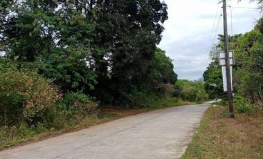 Lot for sale in Mabiga, Bataan