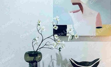 For Sale 4 BR House and Lot with 4 Parking, Multinational Village, Parañaque