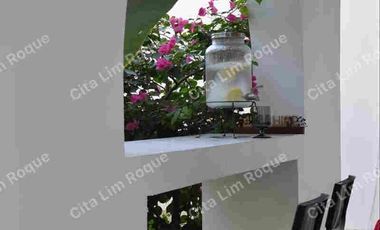 For Sale 4 BR House and Lot with 4 Parking, Multinational Village, Parañaque