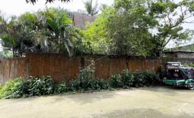 462sqm Lot with unfinished house for Sale in Tagaytay! Sacrifice Sale!