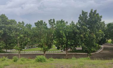 315 sqm Residential Lot for Sale in Manila Southwoods Residential Estate