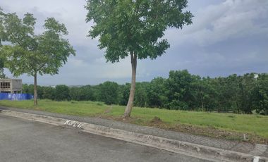 315 sqm Residential Lot for Sale in Manila Southwoods Residential Estate