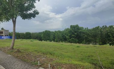 315 sqm Residential Lot for Sale in Manila Southwoods Residential Estate