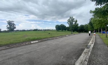 334 sqm Residential Lot for Sale in Manila Southwoods Residential Estate