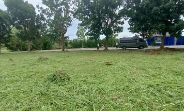 Overlooking Residential Lots for Sale in Manila Southwoods Residential Estate