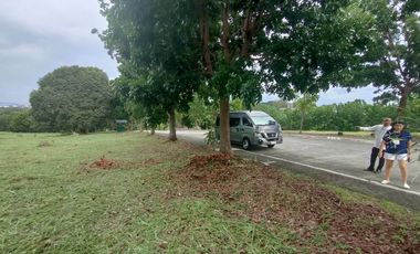Overlooking Residential Lots for Sale in Manila Southwoods Residential Estate