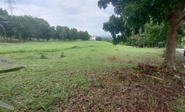 Overlooking Residential Lots for Sale in Manila Southwoods Residential Estate