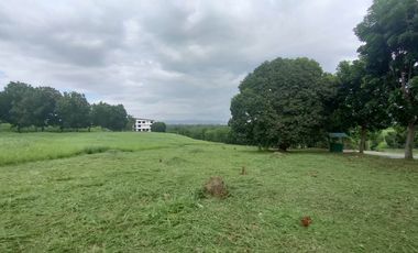 Overlooking Residential Lots for Sale in Manila Southwoods Residential Estate