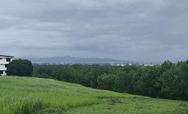 Overlooking Residential Lots for Sale in Manila Southwoods Residential Estate