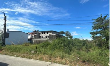 Lot for sale at Dona Adela Sub. Cabanatuan City near Transport Terminal