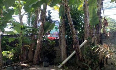 Panglao Bohol Lot for sale