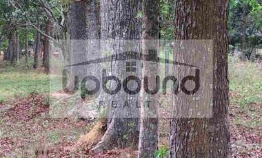 For Logistics Compound or Small Residential Development