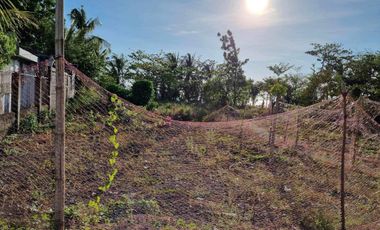 BEACH FRONT RESIDENTIAL LOT FOR SALE IN CULASI, ANTIQUE