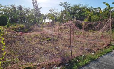 BEACH FRONT RESIDENTIAL LOT FOR SALE IN CULASI, ANTIQUE
