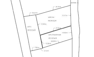 1093sqm Residential-Commercial lot near De LaSalle University Taft Manila